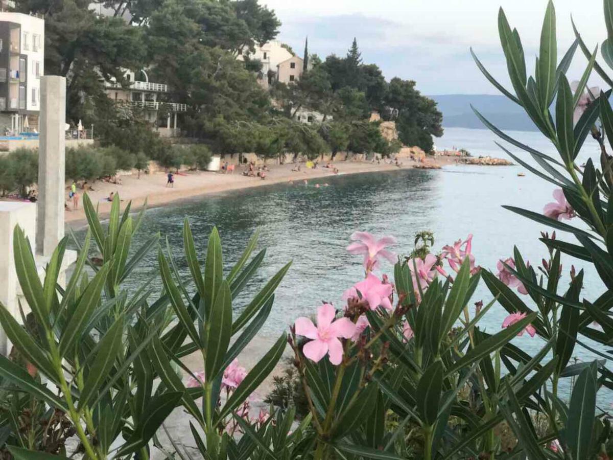 Apartman Rodic Omiš Exteriör bild